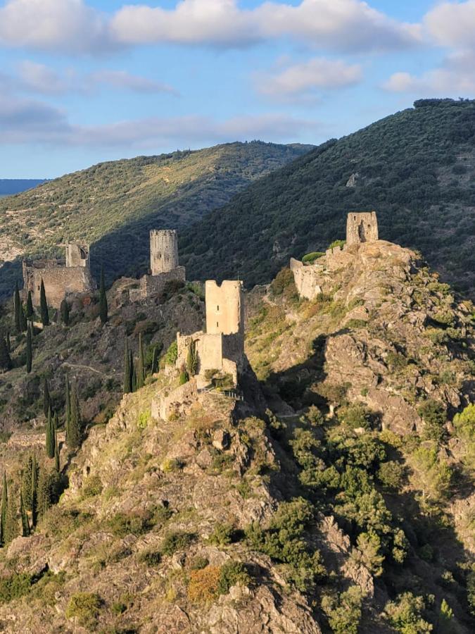 3 Star Surdespine Historic 4 Chateaux Lastours Air Conditioned Eksteriør billede