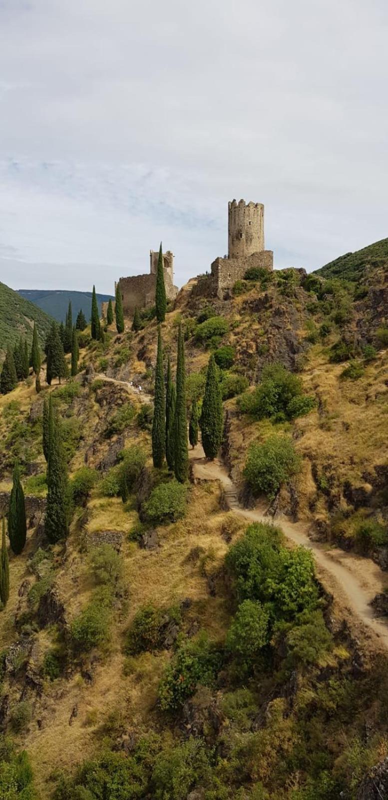3 Star Surdespine Historic 4 Chateaux Lastours Air Conditioned Eksteriør billede